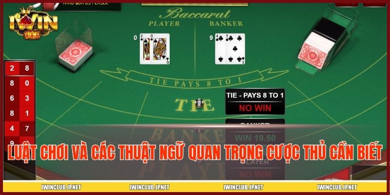 Luật chơi và các thuật ngữ quan trọng cược thủ cần biết