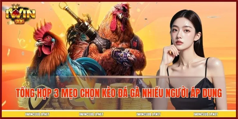 Tổng hợp 3 mẹo chọn kèo đá gà nhiều người áp dụng